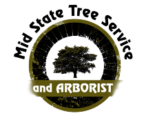 Mid State Tree Service and Arborist, LLC