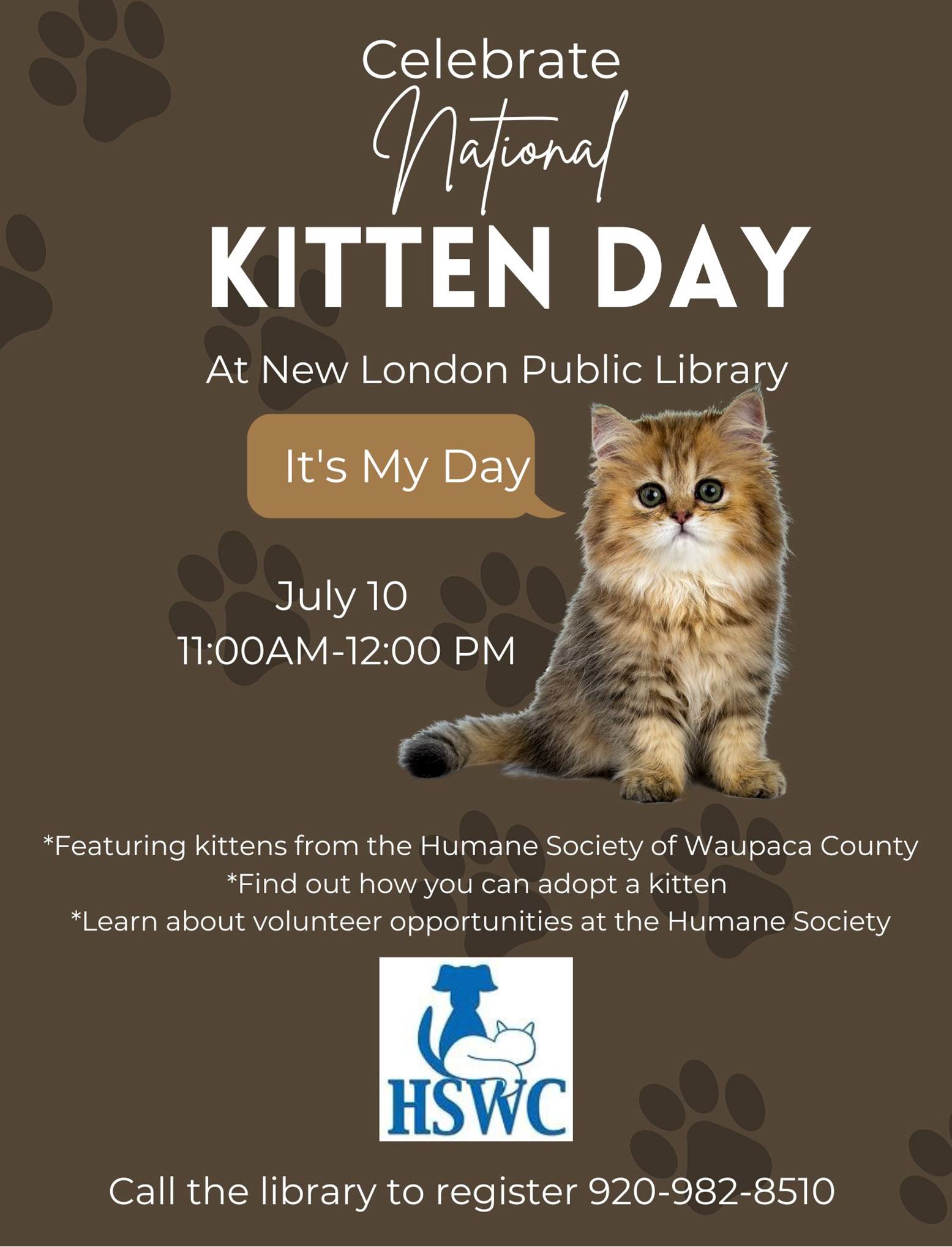 Library kitten day
